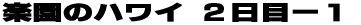 HAKODATE 
